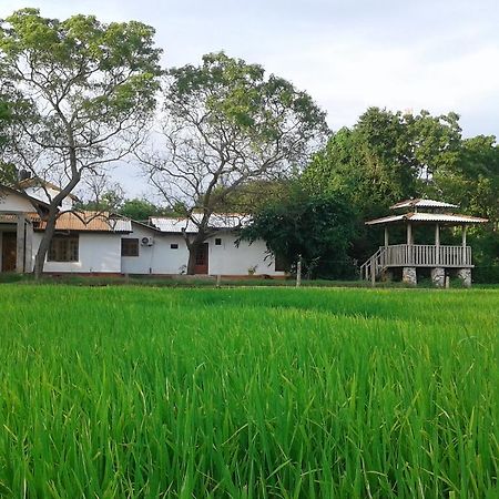 Willpattu Wild Watch Hotel Habawewa Eksteriør billede